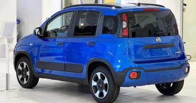 Fiat Pandina perché acquistarla e perché no