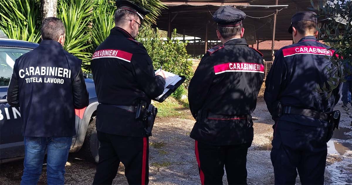 Carabinieri tutela lavoro