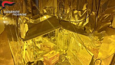 Coltivazione stupefacenti