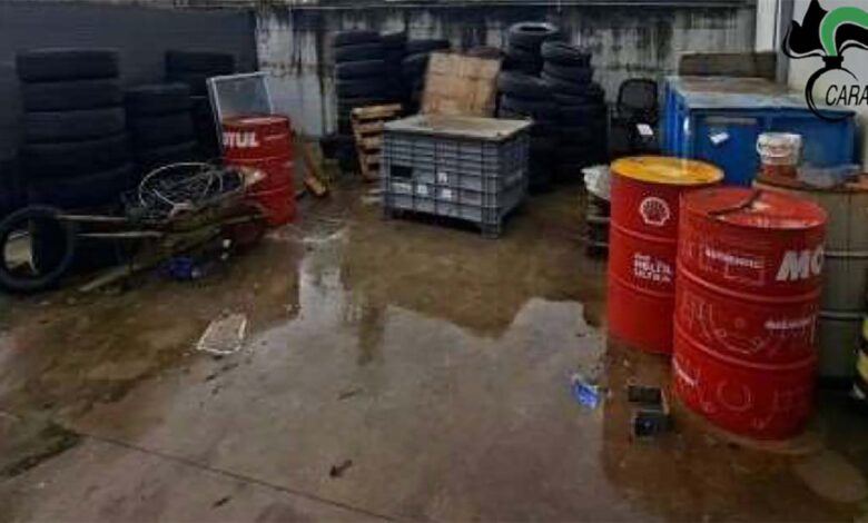 Carabinieri Forestali