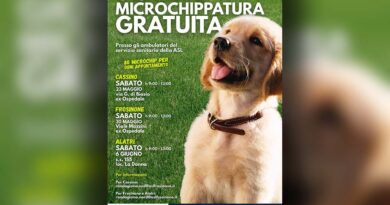Frosinone, giornate gratuite per il microchip ai cani: appuntamenti a Cassino, Alatri e nel capoluogo