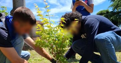Ceccano, cittadini e volontari rigenerano la Villa comunale con il Retake Day 2026