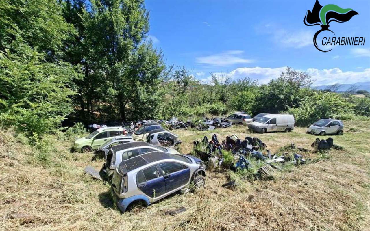 segnalazione rifiuti forestali