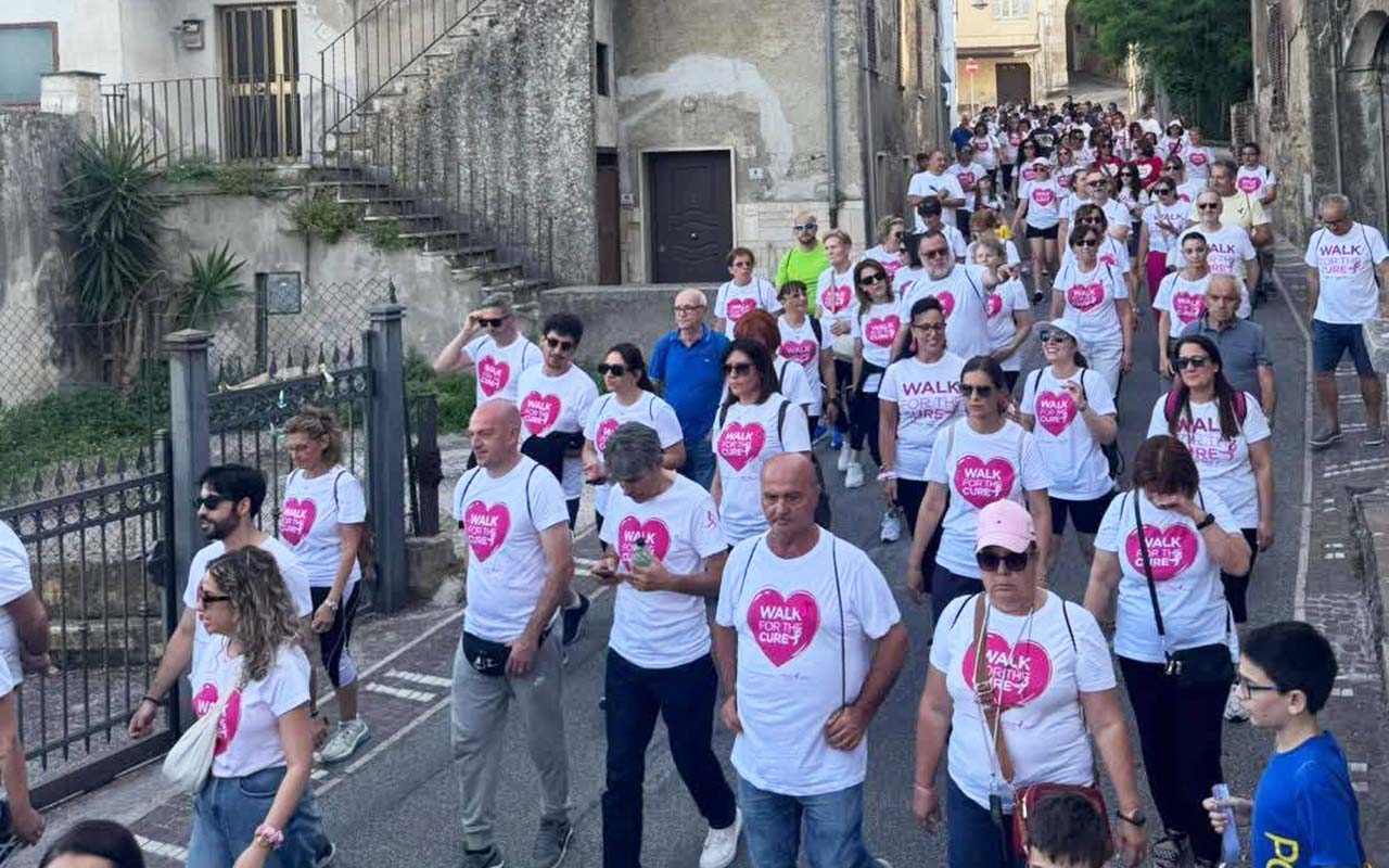 Insieme per la Ricerca Ripi