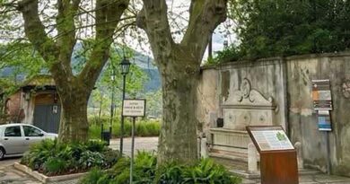 Alatri, dalla Regione 6mila euro per la tutela degli alberi monumentali di Porta San Pietro