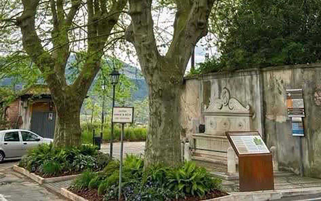 Alatri alberi storici