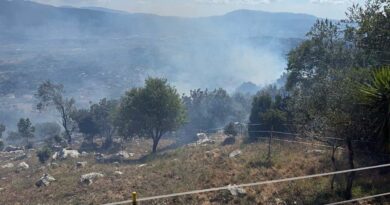 Anagni, incendio in località Monti: il sindaco ringrazia i soccorritori e invita alla prudenza