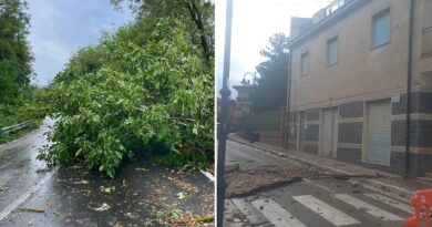 Piedimonte San Germano, tromba d’aria durante il temporale: alberi caduti e calcinacci in piazza Municipio