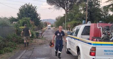 Roccasecca, temporale del 10 agosto: Protezione Civile in campo per alberi caduti e piante pericolanti