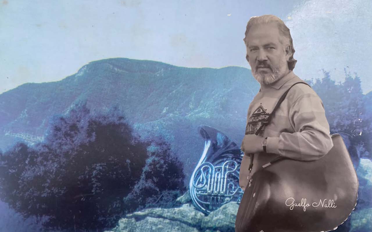 supino guelfo nalli copia