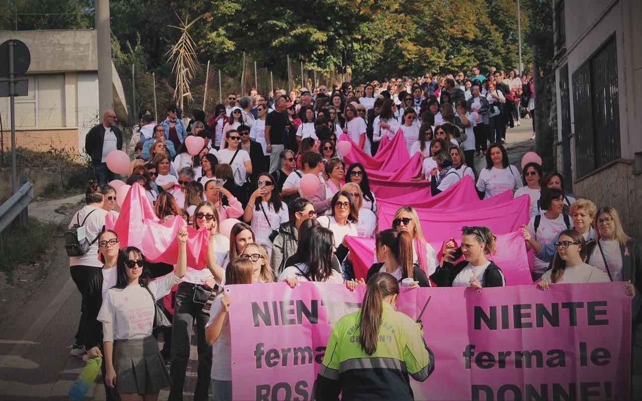 Camminata in rosa copia