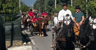 60 cavalli e tre carrozze per la seconda edizione di “Ceccano a Cavallo”
