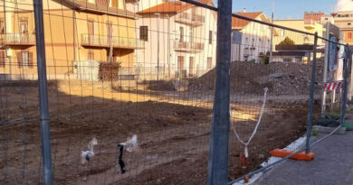 Frosinone, nodo di interscambio in via Tiburtina: lavori avanti per collegare Cotral, Tpl e Brt