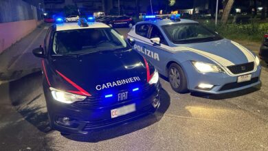Carabinieri e Polizia () copia