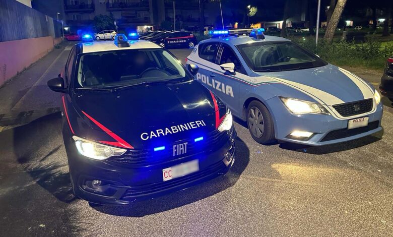 Carabinieri e Polizia () copia