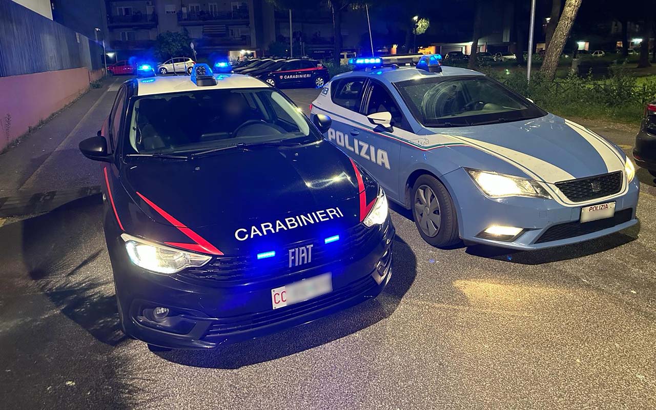 Carabinieri e Polizia () copia